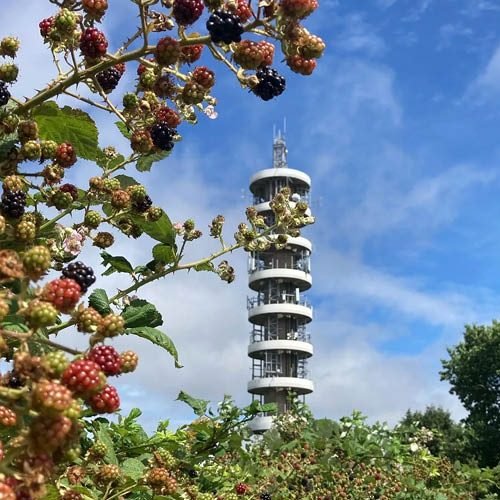 Purdown tower